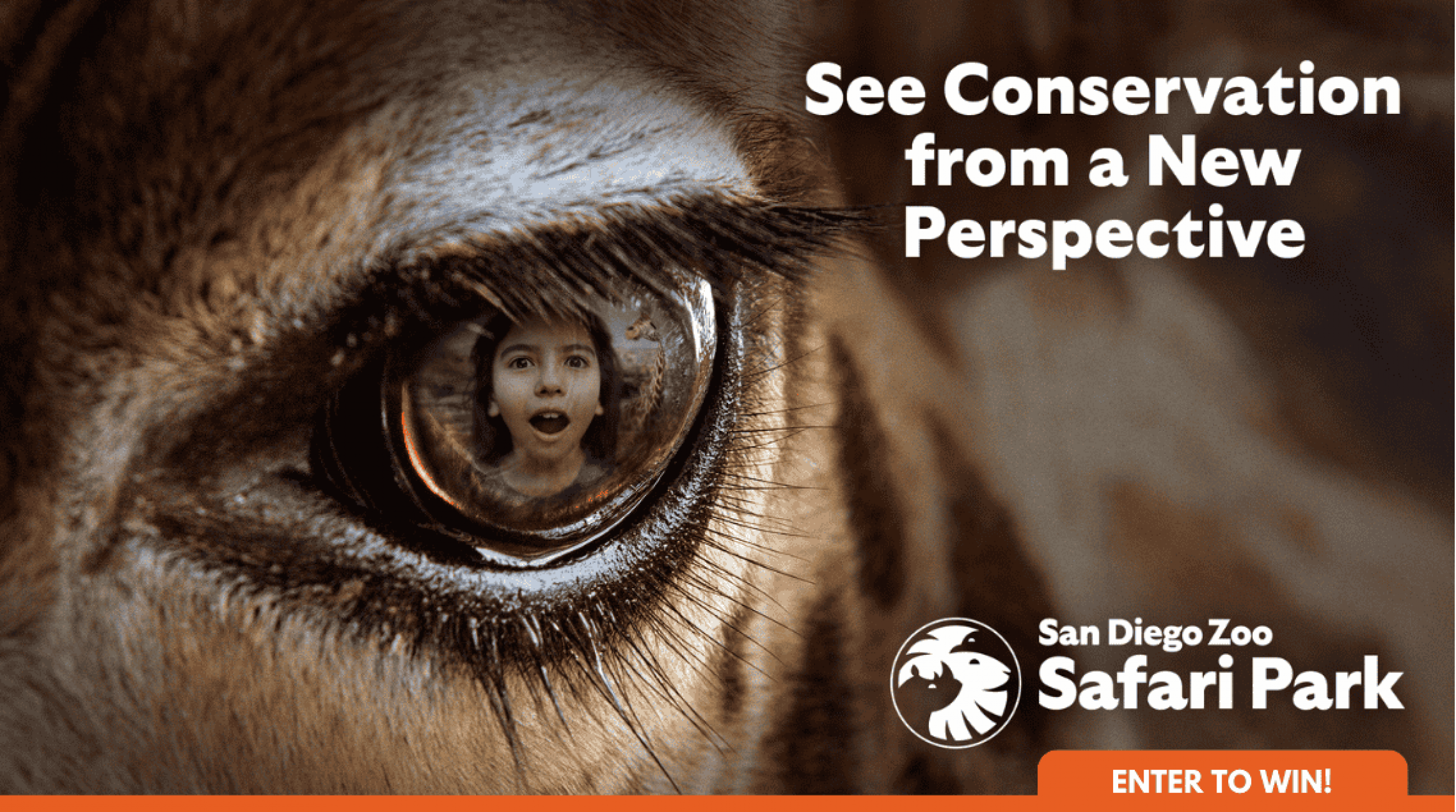 Promo SDZOO March 2025