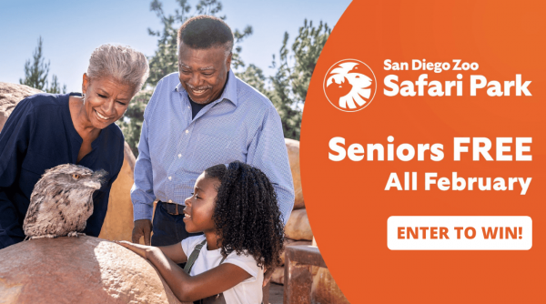 Promo SDZSP Seniors 2026