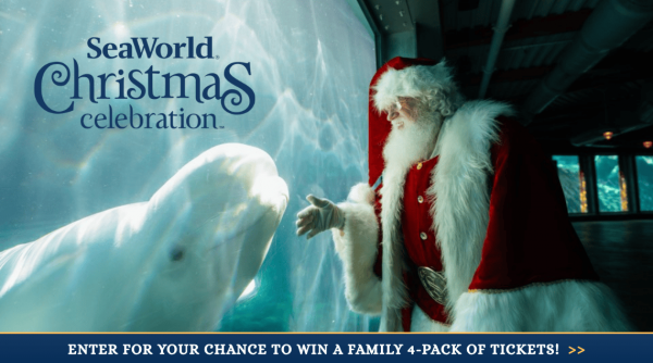 Promo Seaworld Christmas 2026